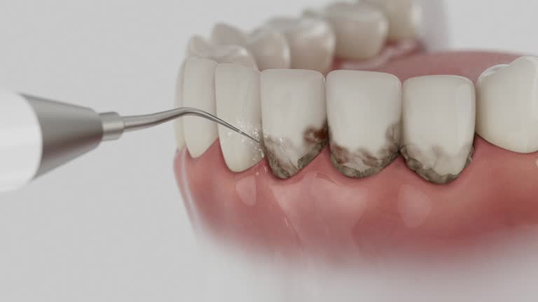 Reliable Dental contractor in Martin's Additions, MD by Dentist Open Now
